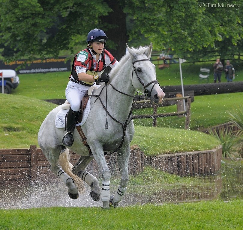 Horse 070608_2.jpg